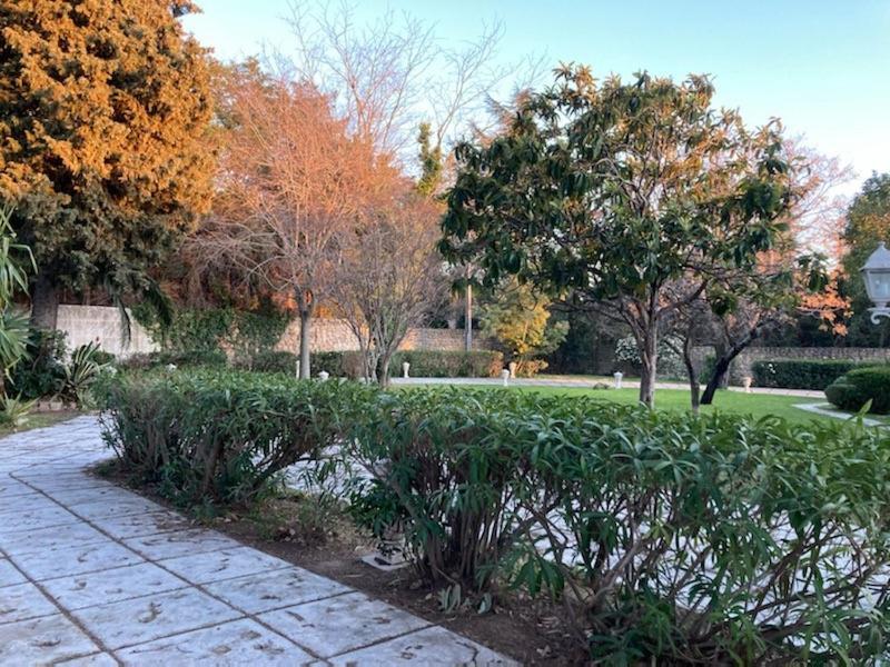 Gite Comme A La Maison Hyeres Bagian luar foto